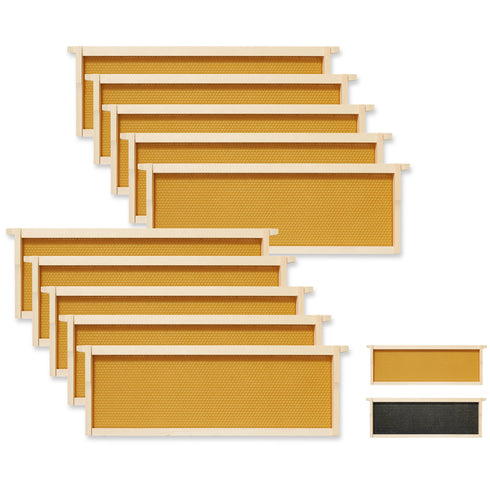 10-Pk Medium Super 6-1/4-in Unassembled Hive Frames and Foundations